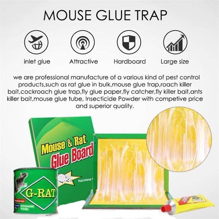 Adhesive Rat Trap Board