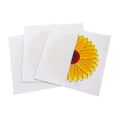 Fly Paper Window Stickers