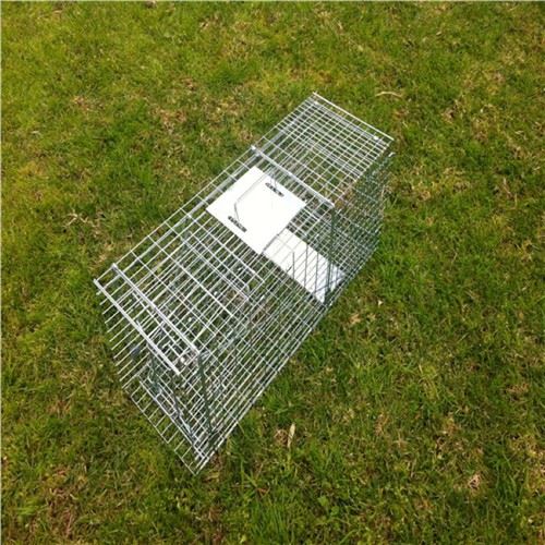 Wild Animal Cage